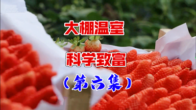 青島風全溫室配套有限公司